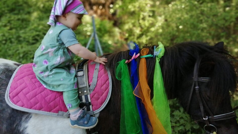ABC-Hufis-Pony1-Murtal-Steiermark | © Martina Hochfellner