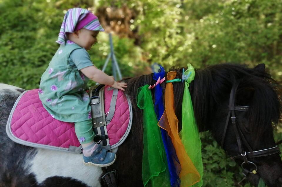 ABC-Hufis-Pony1-Murtal-Steiermark | © Martina Hochfellner