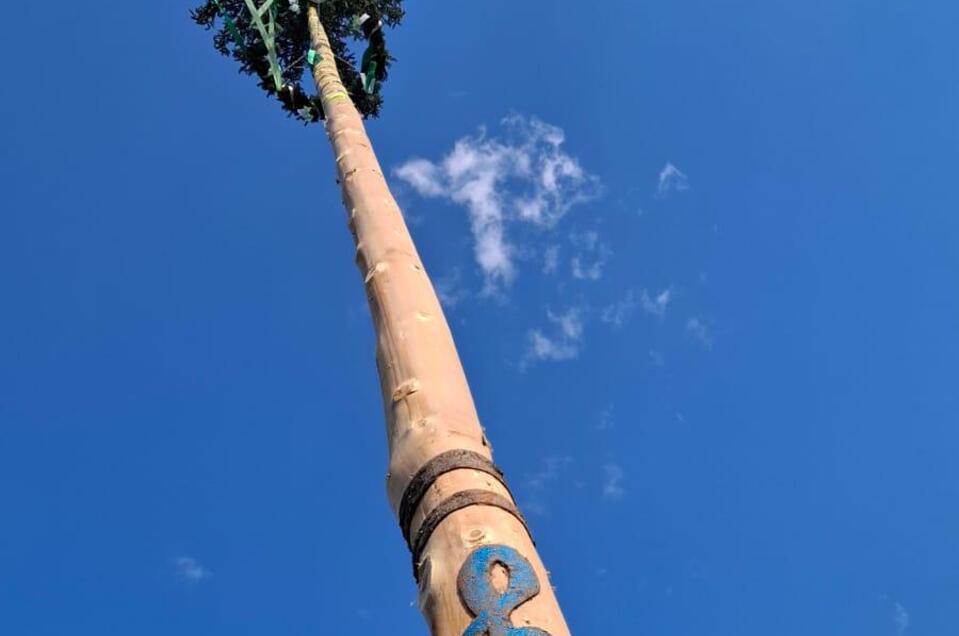 Maibaum umschneiden Musikverein Bretstein - Impression #1