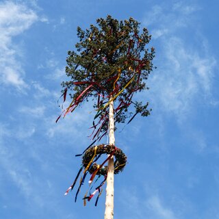 Maypole_Eastern Styria | © Tourismusverband Oststeiermark