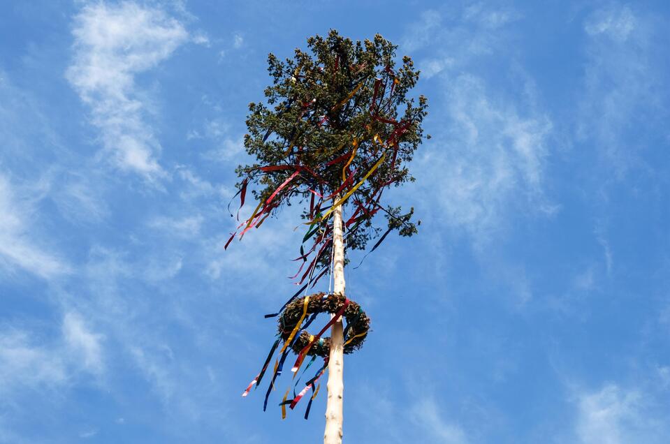 Maibaum_Oststeiermark | © Tourismusverband Oststeiermark