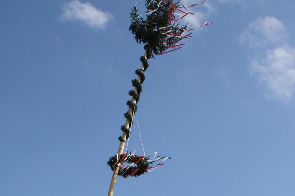 Maibaum-Umschneiden - Impression #1