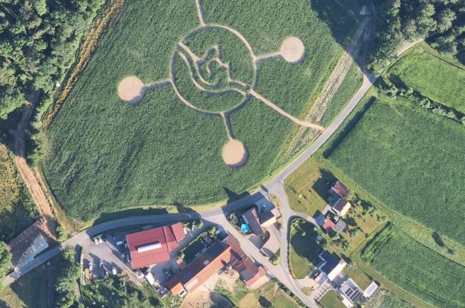 Maislabyrinth_Naturpark Pöllauer Tal_Oststeiermark | © Lindenhof Kröpfl