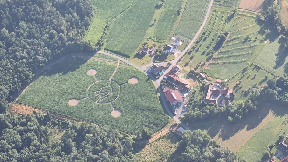Maislabyrinth_Lindenhof Kröpfl_Oststeiermark | © Lindenhof Kröpfl