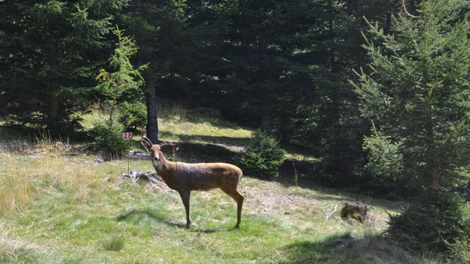 With a bow and arrow on the mountain - Impressionen #2.1