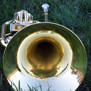 Music in the Park_Eastern Styria | © Pixabay