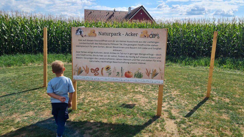 Maislabyrinth_Infotafel_NUP_Oststeiermark | © Rohrhofer