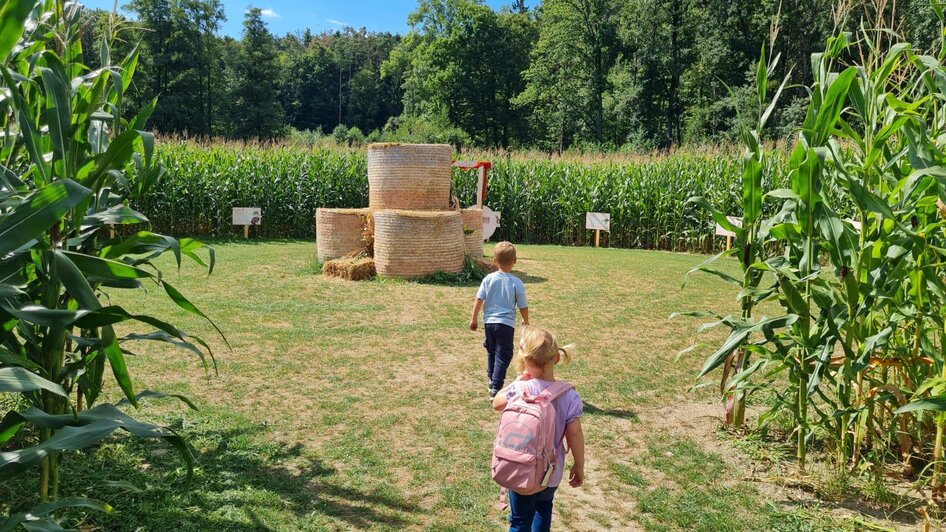 Maislabyrinth_Station_NUP_Oststeiermark | © Rohrhofer