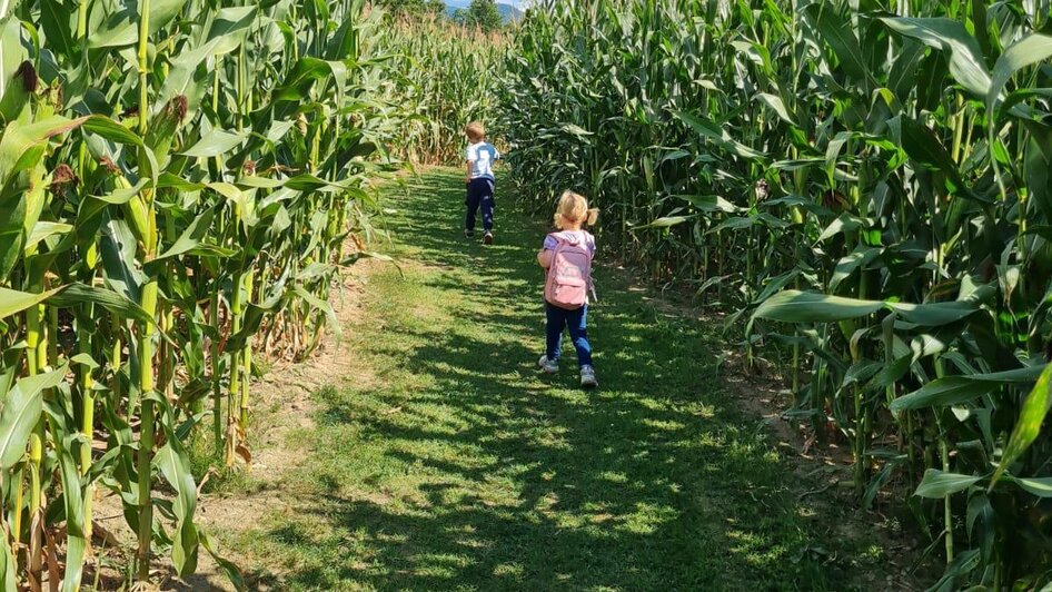 Maislabyrinth_Weg_NUP_Oststeiermark_Rohrhofer | © Rohrhofer
