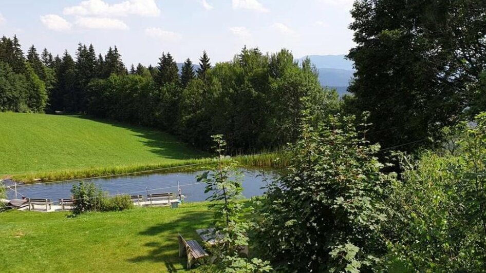 Badeteich_Oststeiermark | © Landhotel Berger