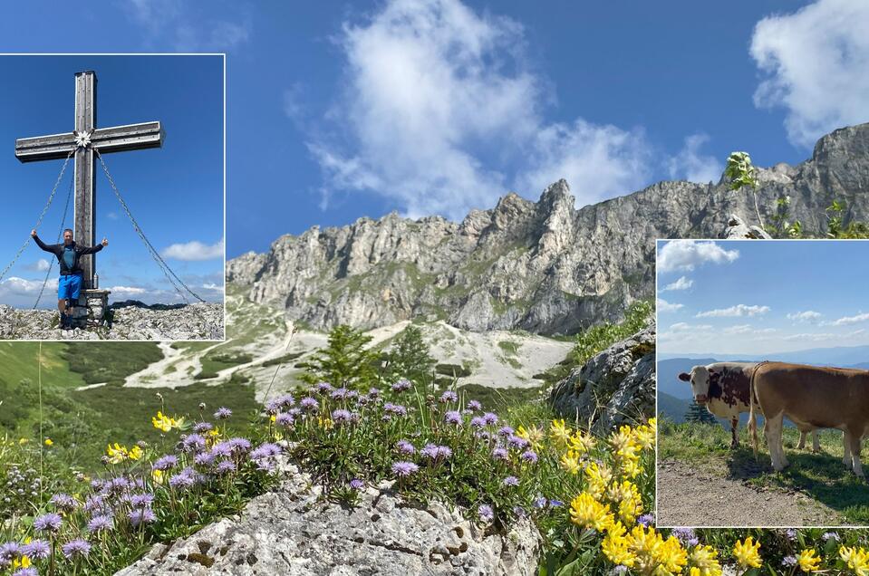 Wandern auf der Hohen Veitsch | © Steirisch Wandern