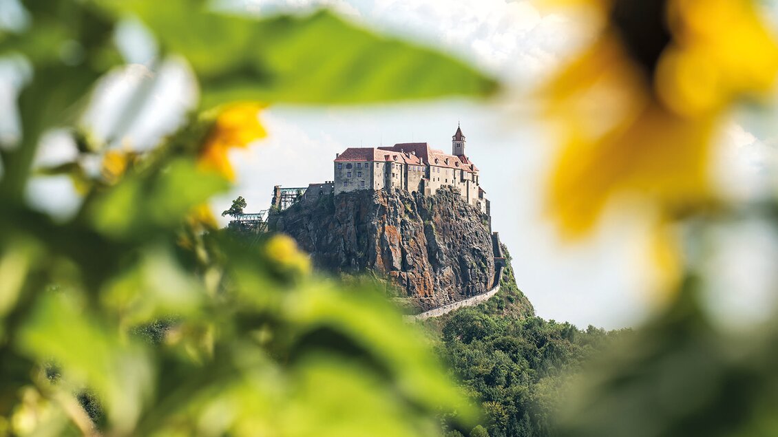 Eine beeindruckende Burg auf einem Felsen, umgeben von grüner Landschaft. Im Vordergrund sind farbenfrohe Sonnenblumen zu sehen. | © Rudi Ferder