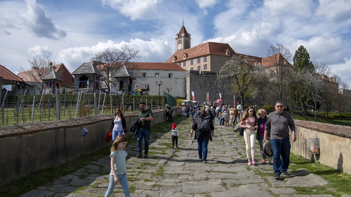 Eine Gruppe von Menschen spaziert auf einem gepflasterten Weg. Im Hintergrund ist ein historisches Gebäude mit einem Turm und Bäumen zu sehen. | © Tourismusverband Thermen- & Vulkanland/Christian Thomaser