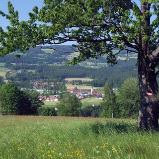 Ansicht Miesenbach_Oststeiermark | © TV Miesenbach