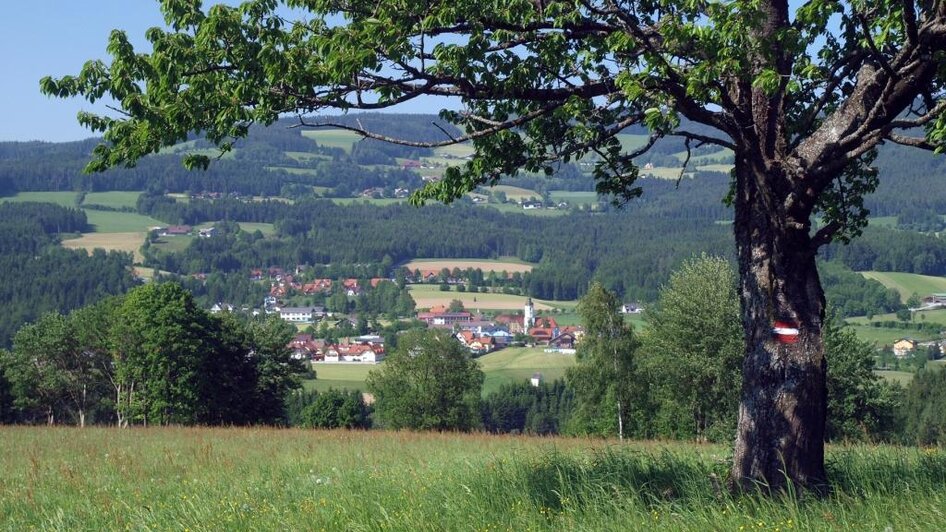 Ansicht Miesenbach_Oststeiermark | © TV Miesenbach