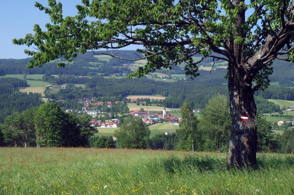 Ansicht Miesenbach_Oststeiermark | © TV Miesenbach