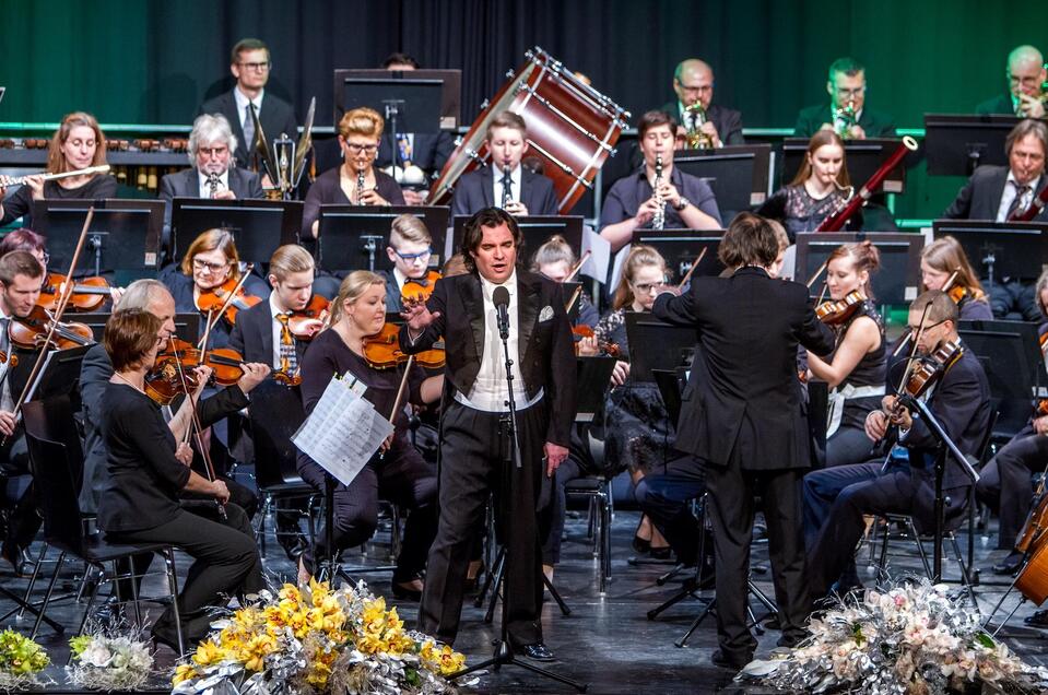 sommerkonzert_klein | © Petru Rimovetz