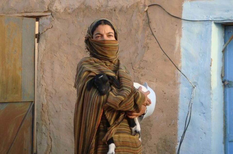Saharawis