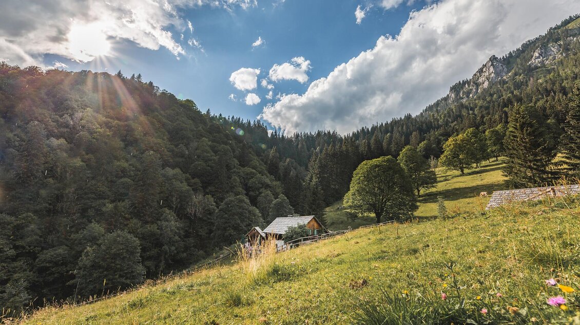 Eine malerische Landschaft mit sanften Hügeln und einem Wald im Hintergrund. Im Vordergrund steht eine kleine Hütte, umgeben von Wiese und Bäumen. | © TV Gesäuse