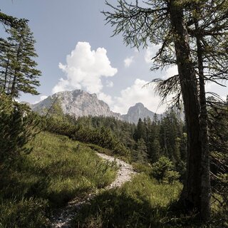 Wanderweg