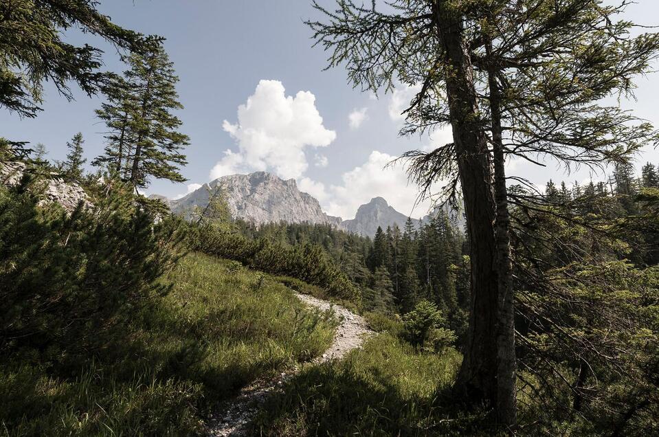 Wanderweg
