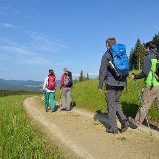 Sternwanderung Herrnalm_Wanderer_Oststeiermark | © Oststeiermark Tourismus