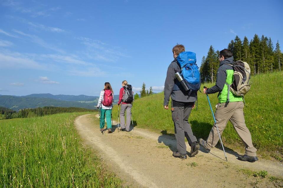 Sternwanderung Herrnalm_Wanderer_Oststeiermark | © Oststeiermark Tourismus