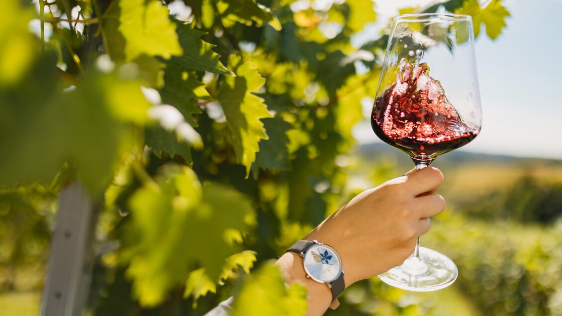 
Eine Hand schwenkt ein Glas mit tiefrotem Wein zwischen sonnenbeschienenen Weinreben am Weinhof Ulrich in St. Anna am Aigen. Das warme Licht und die idyllische Kulisse vermitteln Genuss, Regionalität und die besondere Atmosphäre eines Sommertages im Weingarten. | © Weinhof Ulrich