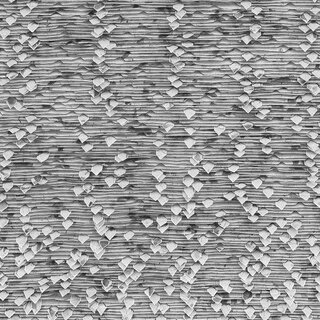 Ausstellung_TONE FINK | RENATE KRAMMER | © TONE FINK | RENATE KRAMMER