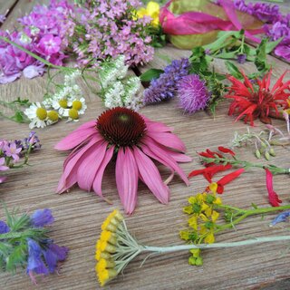 Blumen_Sulamith Garten_Almenland | © Sissy Sichart