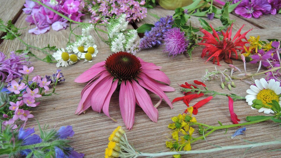 Blumen_Sulamith Garten_Almenland | © Sissy Sichart