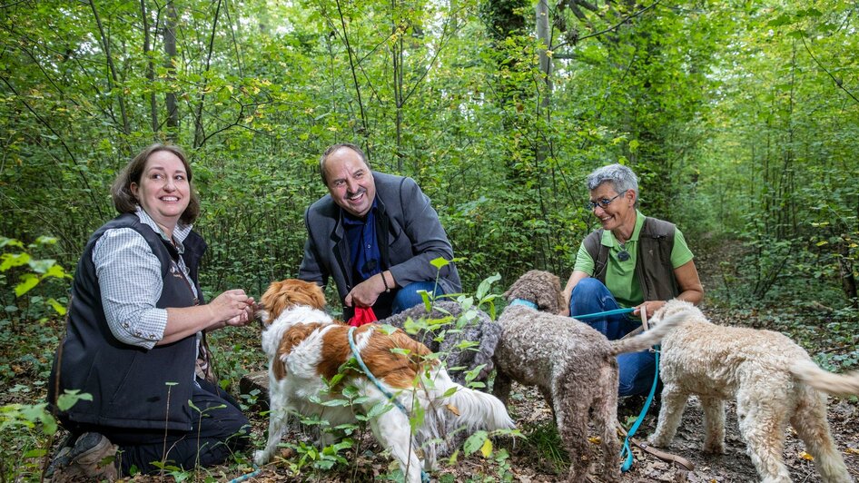 Trüffelwanderung | © Ivents Kulturagentur - Erwin Scheriau Trüffelwanderung | © Ivents Kulturagentur - Erwin Scheriau