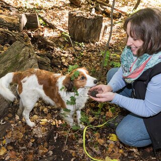 Trüffelwanderungen_5 | © Graz Tourismus - Harry Schiffer