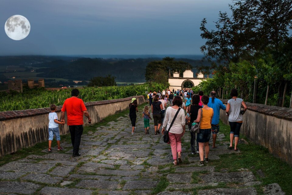 Eine Gruppe von Menschen strollt auf einem gepflasterten Weg durch eine malerische Landschaft. Der Vollmond leuchtet am Himmel über den Weinbergen. | © Rudi Ferder