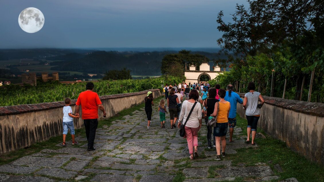 Eine Gruppe von Menschen strollt auf einem gepflasterten Weg durch eine malerische Landschaft. Der Vollmond leuchtet am Himmel über den Weinbergen. | © Rudi Ferder