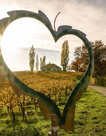 Herbstlandschaft | © pixekmaker.at | © pixekmaker.at | © © pixekmaker.at
