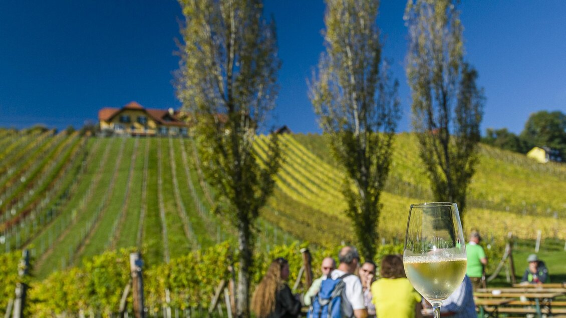 Ein Glas Wein steht auf einem Tisch im Vordergrund, während im Hintergrund Weinreben und Menschen zu sehen sind. Die Szene findet an einem sonnigen Tag in den Weinbergen statt. | © © pixekmaker.at