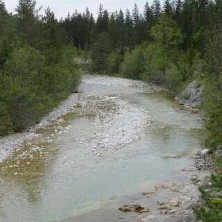 Lassingbach | © NUP intern