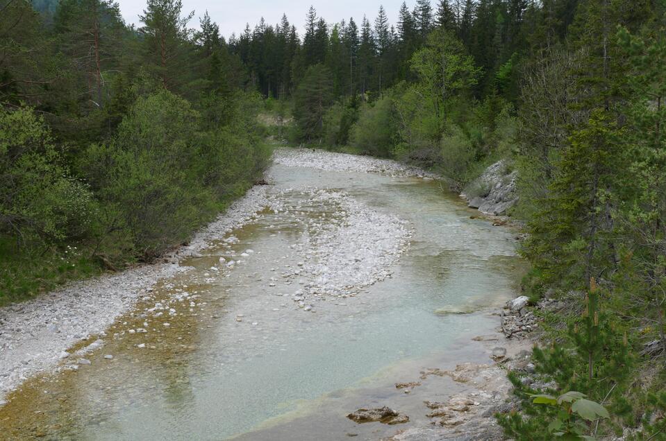 Lassingbach | © NUP intern