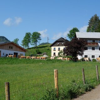 Der Feldbauernhof | © Fam. Eder