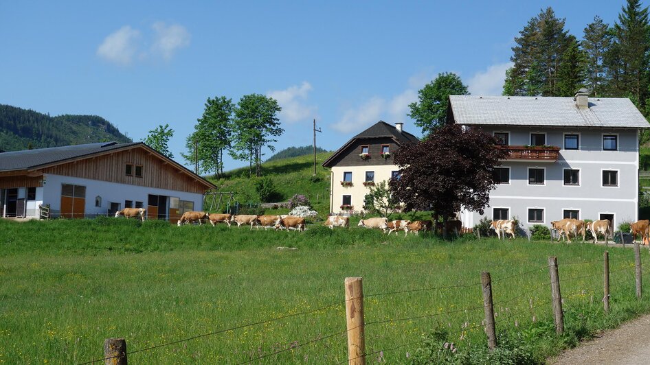 Der Feldbauernhof | © Fam. Eder
