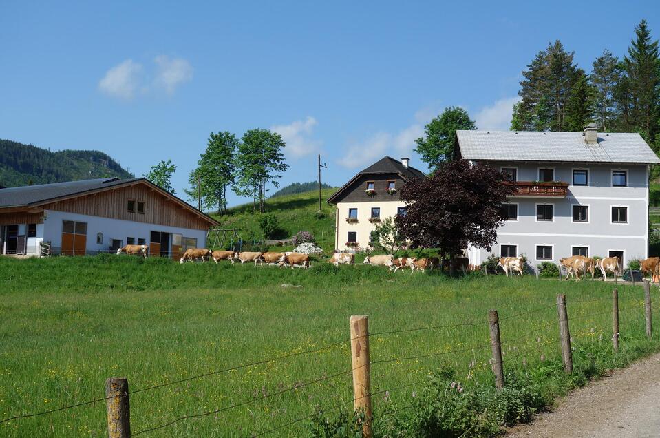 Der Feldbauernhof | © Fam. Eder