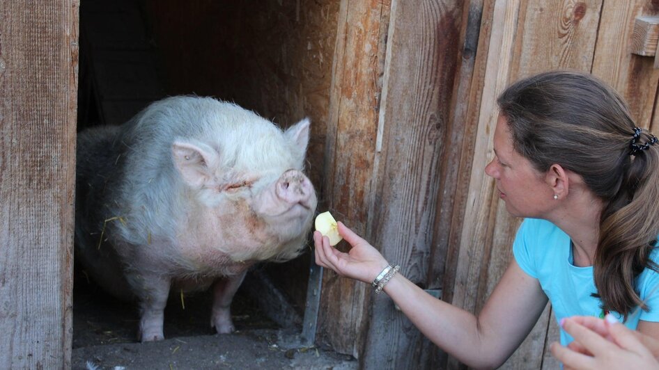 Birgit mit einem ihrer Schweine | © Fam. Eder