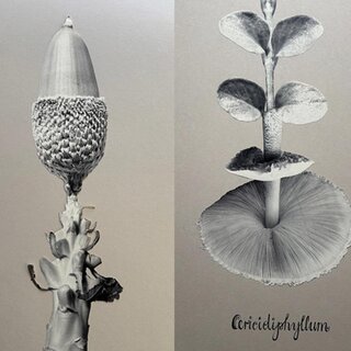 Markt-Art | © Mark-Art Stadtgalerie Deutschlandsberg