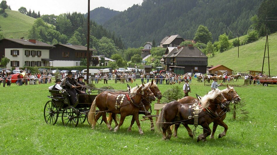 Zugpferdetreffen_Gespann_Oststeiermark | © Marktgemeinde Breitenau am Hochlantsch