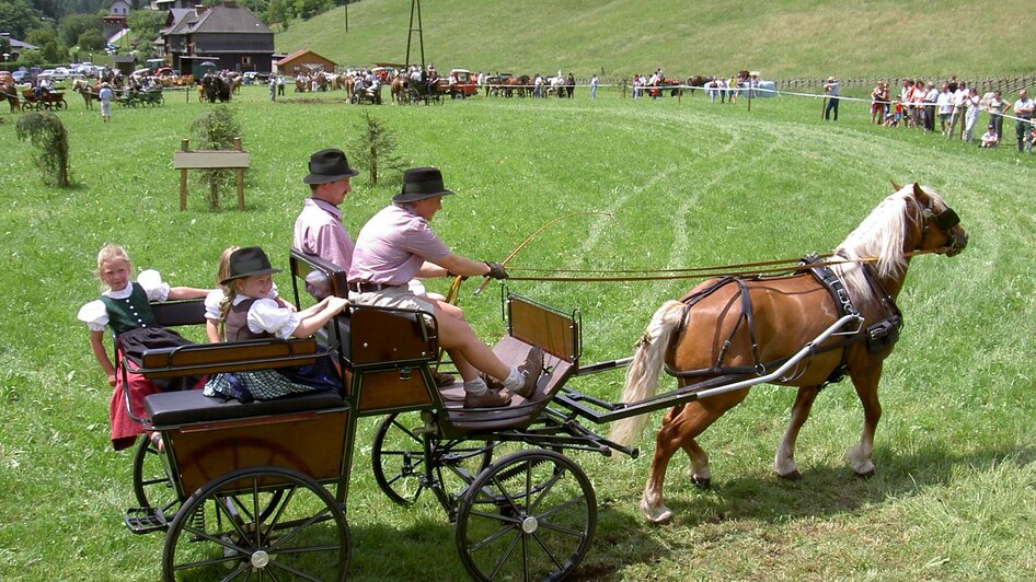 Zugpferdetreffen_Oststeiermark | © Marktgemeinde Breitenau am Hochlantsch