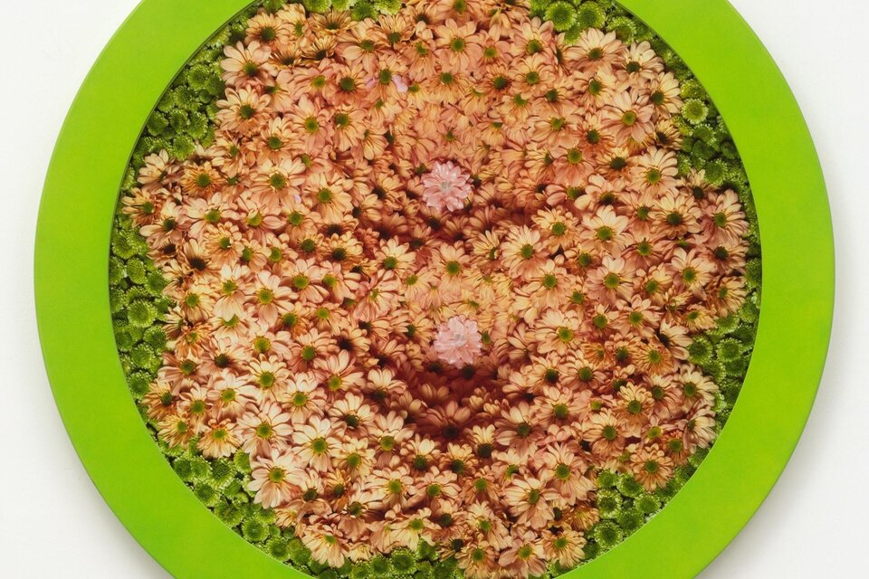 Eine runde Komposition mit rosa und grünen Blumenmotiven. Der Hintergrund ist in einem leuchtenden Grün gehalten. | © ©Estate_of_Helen_Chadwick.