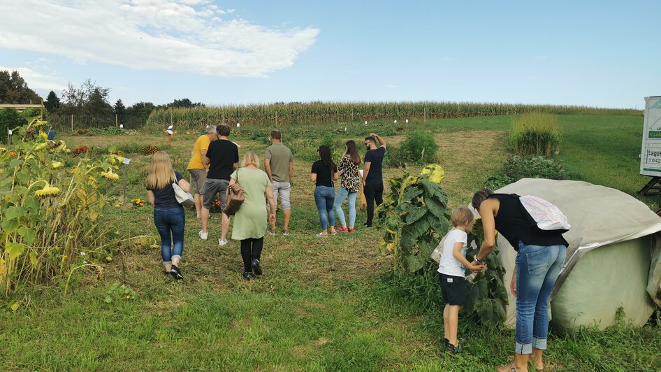 Landwirtschaft am Kleinkeuschlerhof | © Anita Schwarz