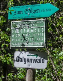 Galgenwald_Wegweiser_Oststeiermark | © Alexandra Wagner
