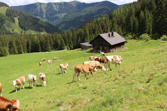 Kälberalm-Hohentauern-Murtal-Steiermark | © Bauernhof Braun